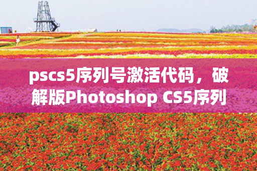pscs5序列号激活代码，破解版Photoshop CS5序列号，合法使用与创意无限
