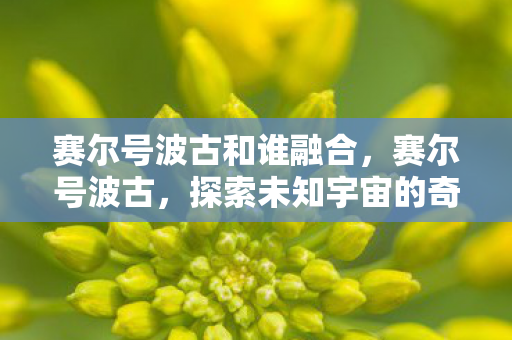 赛尔号波古和谁融合，赛尔号波古，探索未知宇宙的奇妙之旅