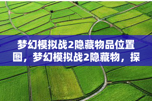 梦幻模拟战2隐藏物品位置图,梦幻模拟战2隐藏物,探寻游戏中的神秘宝藏 梦幻模拟战2隐藏物品位置图,梦幻模拟战2隐藏物,探寻游戏中的神秘宝藏