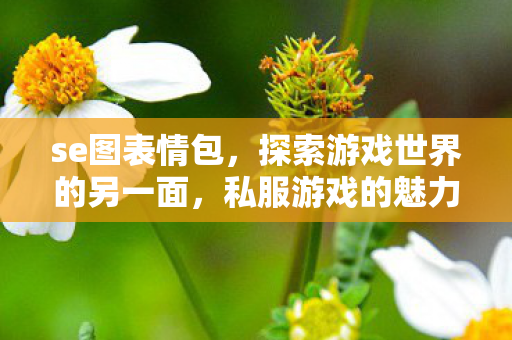 se图表情包，探索游戏世界的另一面，私服游戏的魅力与争议