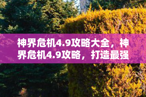 神界危机4.9攻略大全，神界危机4.9攻略，打造最强角色的全面指南