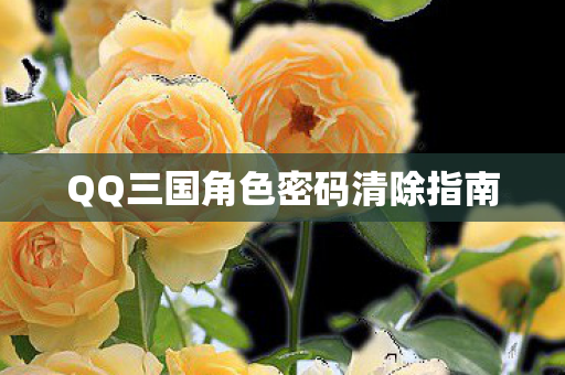 QQ三国角色密码清除指南 QQ三国角色密码清除指南