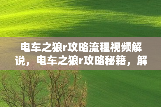 电车之狼r攻略流程视频解说，电车之狼r攻略秘籍，解锁隐藏剧情与角色互动技巧