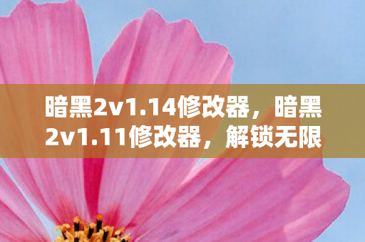 暗黑2v1.14修改器，暗黑2v1.11修改器，解锁无限可能的冒险之旅