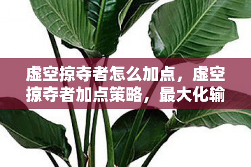 虚空掠夺者怎么加点，虚空掠夺者加点策略，最大化输出与生存能力的平衡