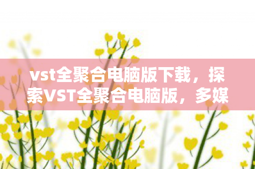 vst全聚合电脑版下载，探索VST全聚合电脑版，多媒体娱乐的新选择
