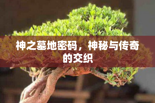 神之墓地密码,神秘与传奇的交织 神之墓地密码,神秘与传奇的交织