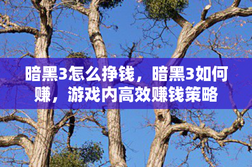 暗黑3怎么挣钱，暗黑3如何赚，游戏内高效赚钱策略