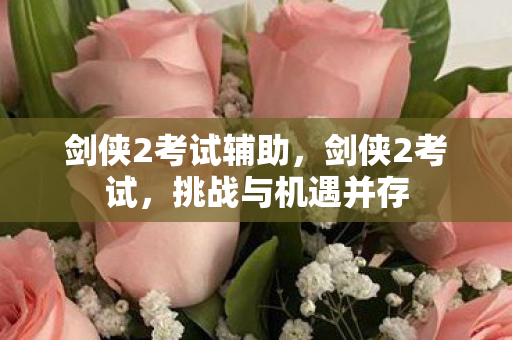 剑侠2考试辅助，剑侠2考试，挑战与机遇并存