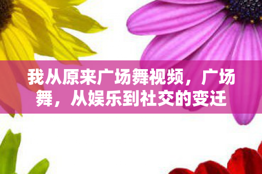 我从原来广场舞视频,广场舞,从娱乐到社交的变迁 我从原来广场舞视频,广场舞,从娱乐到社交的变迁