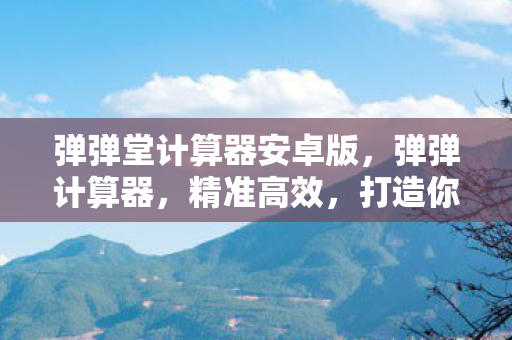 弹弹堂计算器安卓版，弹弹计算器，精准高效，打造你的数字生活新体验
