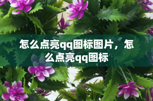 怎么点亮qq图标图片，怎么点亮qq图标