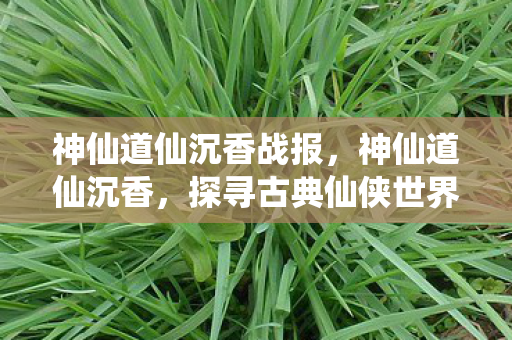 神仙道仙沉香战报,神仙道仙沉香,探寻古典仙侠世界的魅力 神仙道仙沉香战报,神仙道仙沉香,探寻古典仙侠世界的魅力