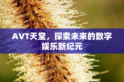 AVT天堂，探索未来的数字娱乐新纪元