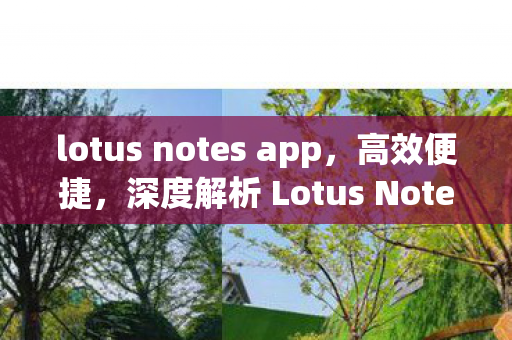 lotus notes app，高效便捷，深度解析 Lotus Notes 下载体验