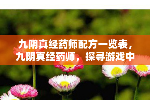 九阴真经药师配方一览表，九阴真经药师，探寻游戏中的治愈之道