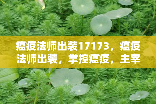瘟疫法师出装17173，瘟疫法师出装，掌控瘟疫，主宰战场的秘宝