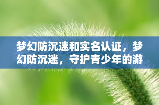 梦幻防沉迷和实名认证，梦幻防沉迷，守护青少年的游戏时光