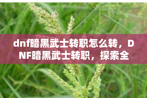 dnf暗黑武士转职怎么转，DNF暗黑武士转职，探索全新战斗风格与技能组合