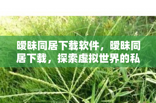暧昧同居下载软件，暧昧同居下载，探索虚拟世界的私密共享