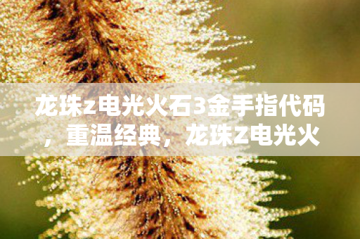 龙珠z电光火石3金手指代码，重温经典，龙珠Z电光火石3金手指的无限可能