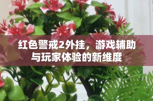 红色警戒2外挂,游戏辅助与玩家体验的新维度 红色警戒2外挂,游戏辅助与玩家体验的新维度