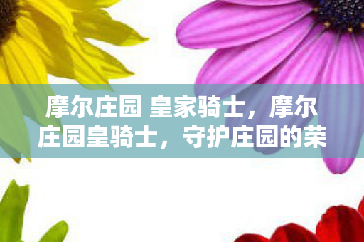 摩尔庄园 皇家骑士，摩尔庄园皇骑士，守护庄园的荣耀骑士