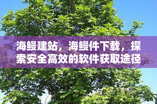海鳗建站,海鳗件下载,探索安全高效的软件获取途径 海鳗建站,海鳗件下载,探索安全高效的软件获取途径