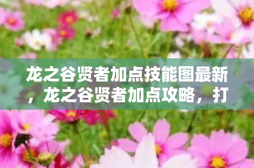 龙之谷贤者加点技能图最新，龙之谷贤者加点攻略，打造最强辅助职业