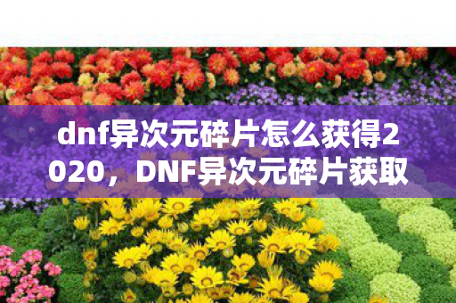 dnf异次元碎片怎么获得2020,DNF异次元碎片获取攻略,打造你的异界之旅 dnf异次元碎片怎么获得2020,DNF异次元碎片获取攻略,打造你的异界之旅