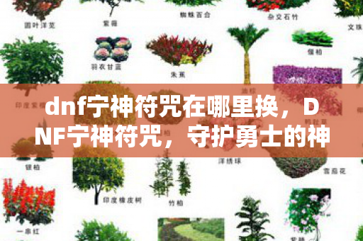 dnf宁神符咒在哪里换，DNF宁神符咒，守护勇士的神秘力量