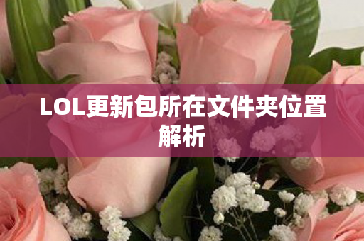 LOL更新包所在文件夹位置解析