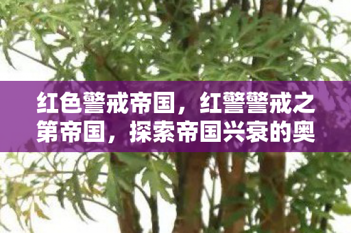 红色警戒帝国，红警警戒之第帝国，探索帝国兴衰的奥秘