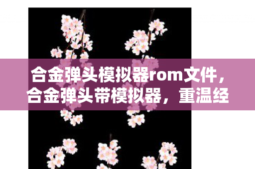 合金弹头模拟器rom文件，合金弹头带模拟器，重温经典，畅享无限