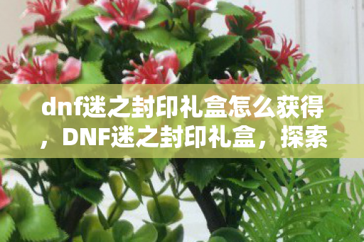 dnf迷之封印礼盒怎么获得，DNF迷之封印礼盒，探索未知，解锁惊喜