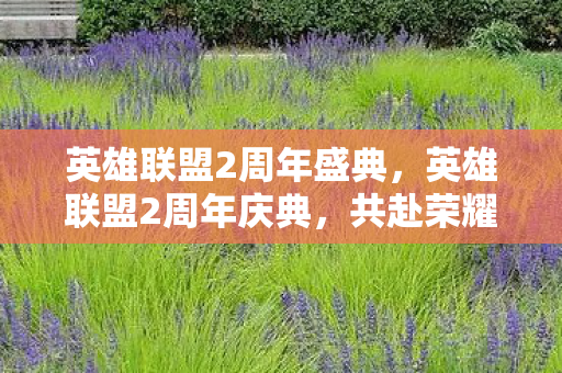 英雄联盟2周年盛典，英雄联盟2周年庆典，共赴荣耀，见证成长