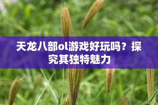 天龙八部ol游戏好玩吗？探究其独特魅力
