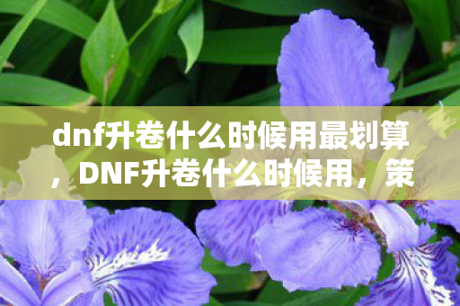 dnf升卷什么时候用最划算,DNF升卷什么时候用,策略与技巧 dnf升卷什么时候用最划算,DNF升卷什么时候用,策略与技巧