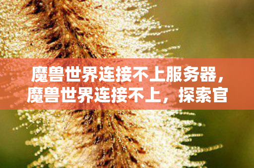 魔兽世界连接不上服务器，魔兽世界连接不上，探索官方服务器故障背后的原因与解决方案