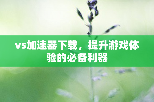 vs加速器下载，提升游戏体验的必备利器