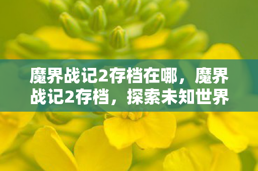 魔界战记2存档在哪，魔界战记2存档，探索未知世界的珍贵记录