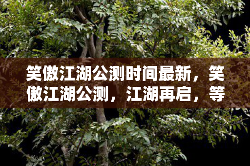 笑傲江湖公测时间最新，笑傲江湖公测，江湖再启，等你来战