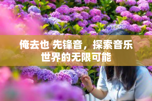 俺去也 先锋音，探索音乐世界的无限可能