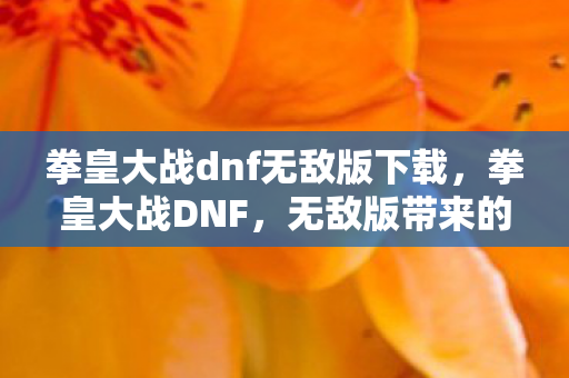 拳皇大战dnf无敌版下载，拳皇大战DNF，无敌版带来的全新游戏体验