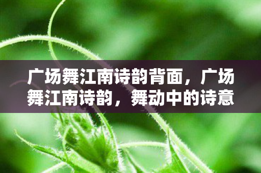 广场舞江南诗韵背面，广场舞江南诗韵，舞动中的诗意与传承