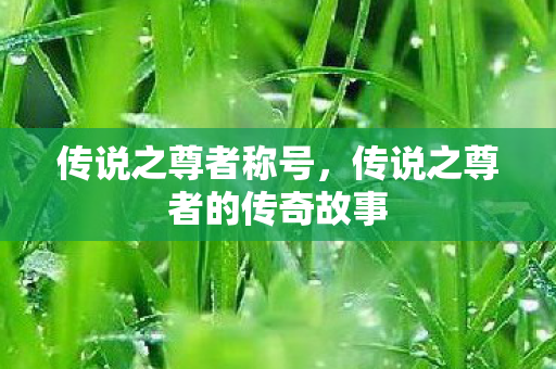 传说之尊者称号，传说之尊者的传奇故事