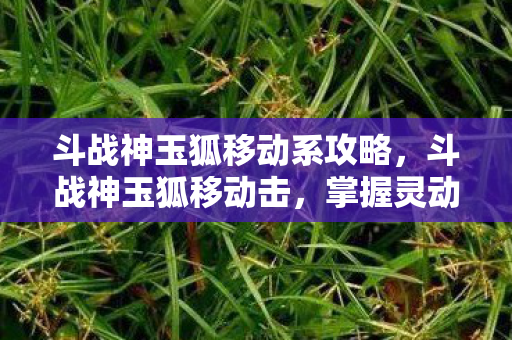 斗战神玉狐移动系攻略，斗战神玉狐移动击，掌握灵动飘逸的战斗艺术