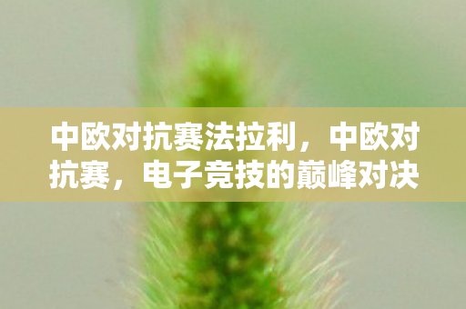 中欧对抗赛法拉利，中欧对抗赛，电子竞技的巅峰对决