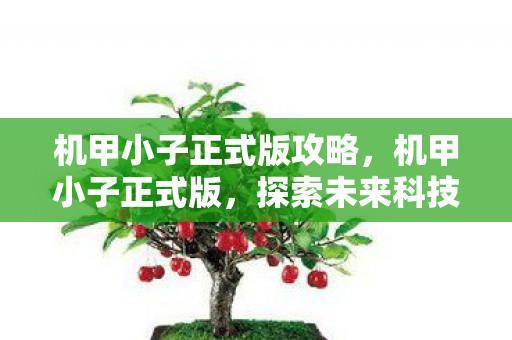 机甲小子正式版攻略，机甲小子正式版，探索未来科技的奇妙之旅