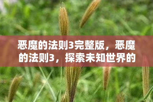 恶魔的法则3完整版，恶魔的法则3，探索未知世界的奇幻之旅
